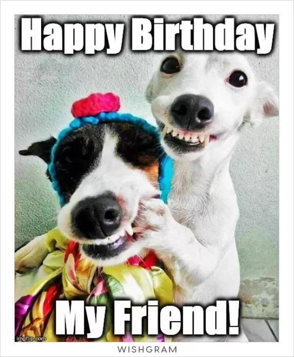 funny happy birthday images for friend