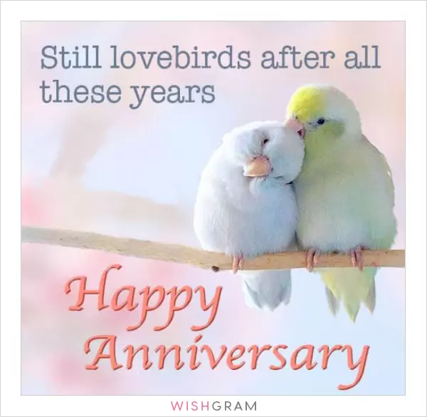 Still lovebirds after all these years.
 

Happy anniversary