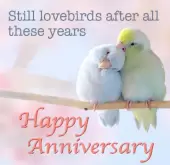 Still lovebirds after all these years.
 

Happy anniversary