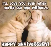 I'll love you even when we're old and wrinkly. Happy Anniversary!